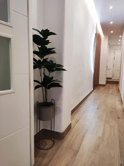 Apartamento Sierra-Sol Ronda Bagian luar foto